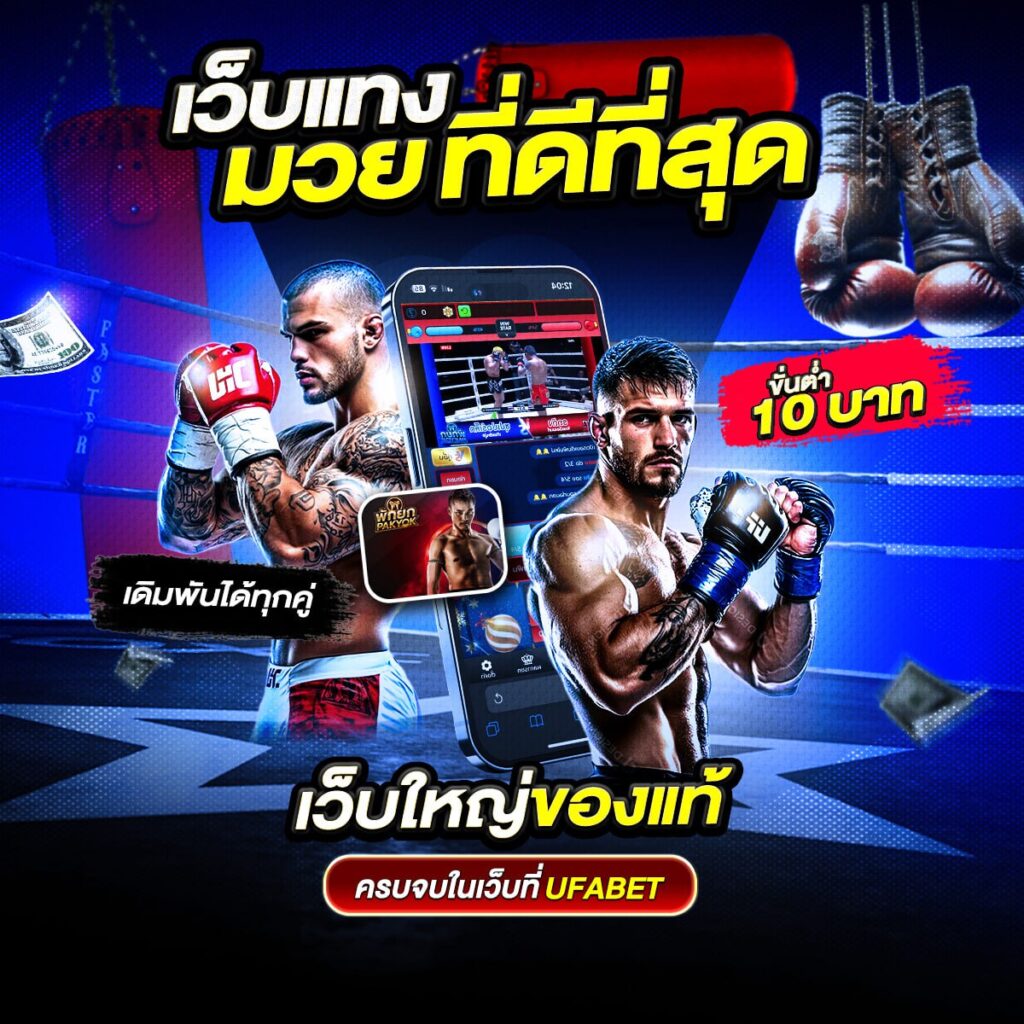 เว็บแทงมวย